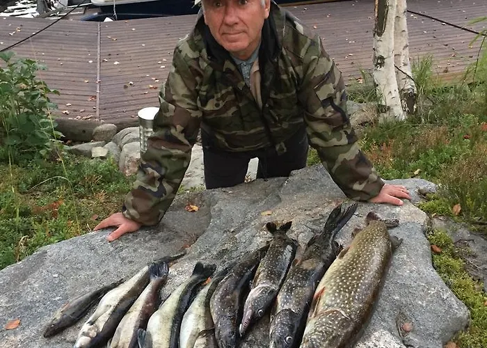 Tukkilahti 4 Savonranta